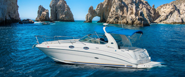 30' Searay Cruiser boat Yacht Charters, Boat Rentals, Cabo San Lucas, Los Cabos, Whale Watching Private