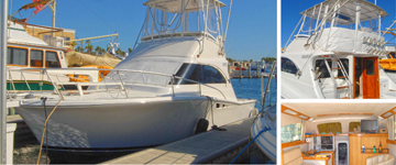 31' luhrs Yacht Charters, Boat Rentals, Cabo San Lucas, Los Cabos, La Paz. fishing boat