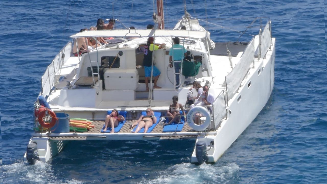 50' Cat interior